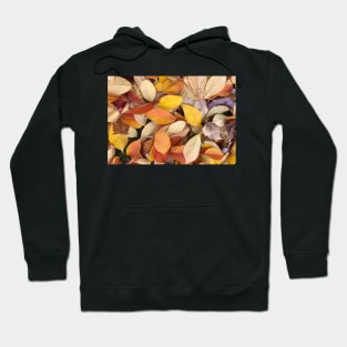 Forest Bathing with Fall Leaves Hoodie